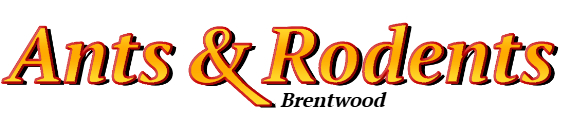 Brentwood Ant Exterminator & Rodent Control Company Logo